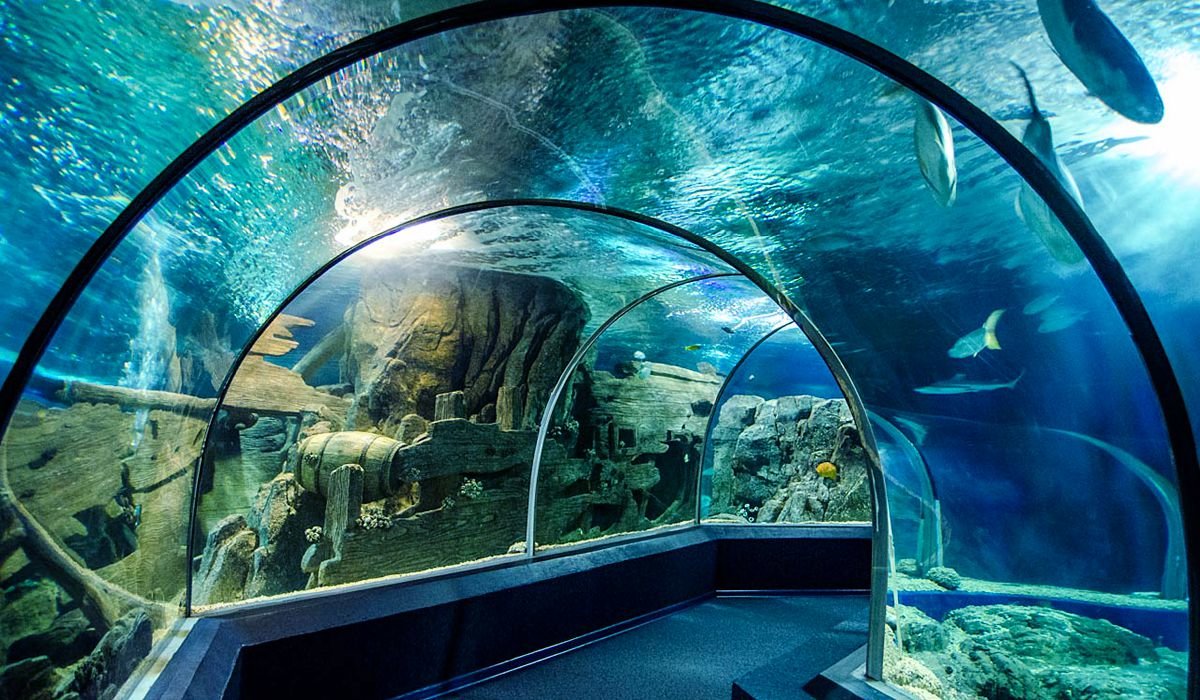 Discovery World Aquarium